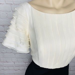 Tadashi Shoji Dresses - TADASHI COLLECTION Dress Black/Beige Pleated Sz 10 Tadashi Shoji Dresses - TADASHI COLLECTION Dress Black/Beige Pleated Sz 10